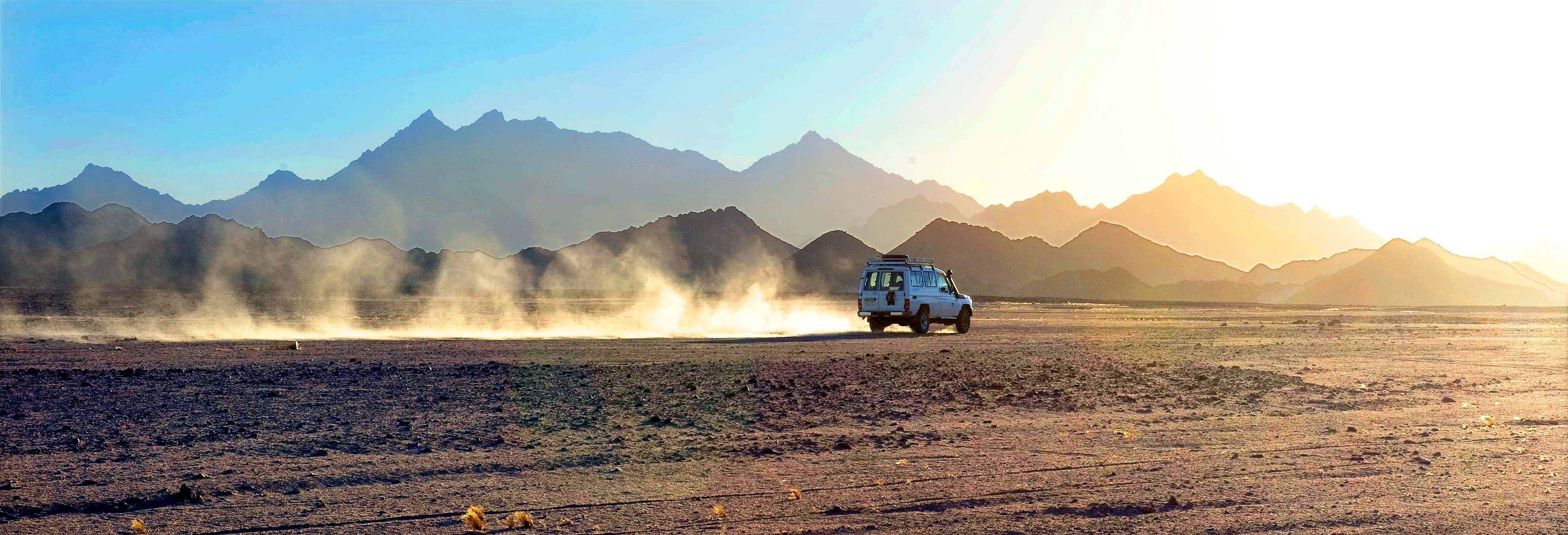 Tour in 4x4 + Giro in cammello + Cena con spettacolo nel deserto