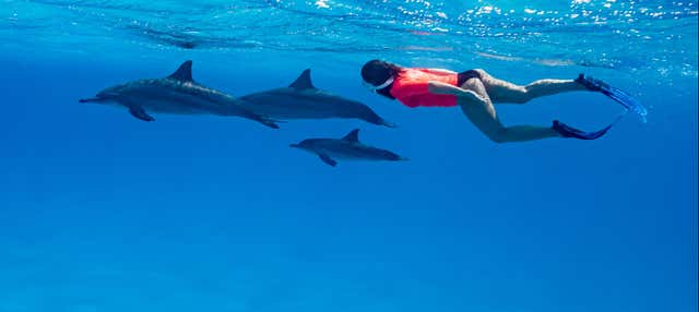 Giro in barca a Sataya Reef + Snorkeling con i delfini