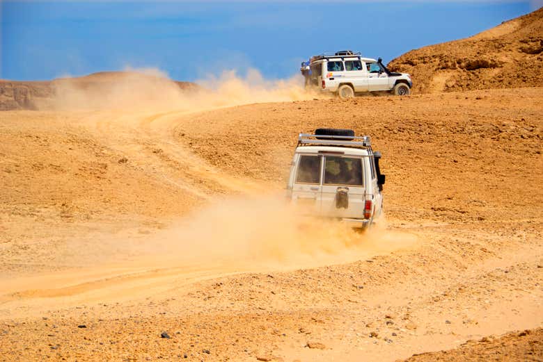 Desert 4x4 Tour + Camel Ride + Dinner & Show