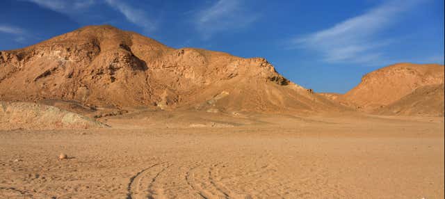 Tour in quad + Giro in cammello + Snorkeling nel Mar Rosso