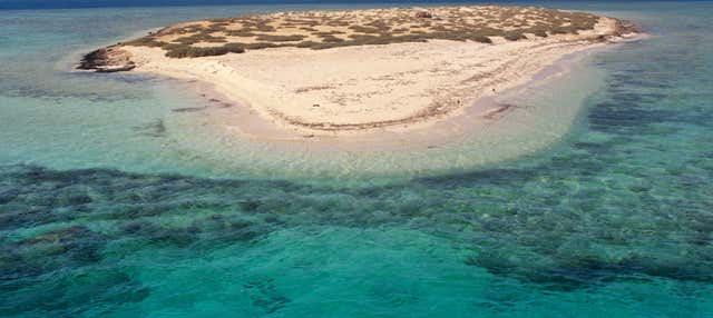 Snorkeling a Sharm El Luli e Wadi El Qulaan
