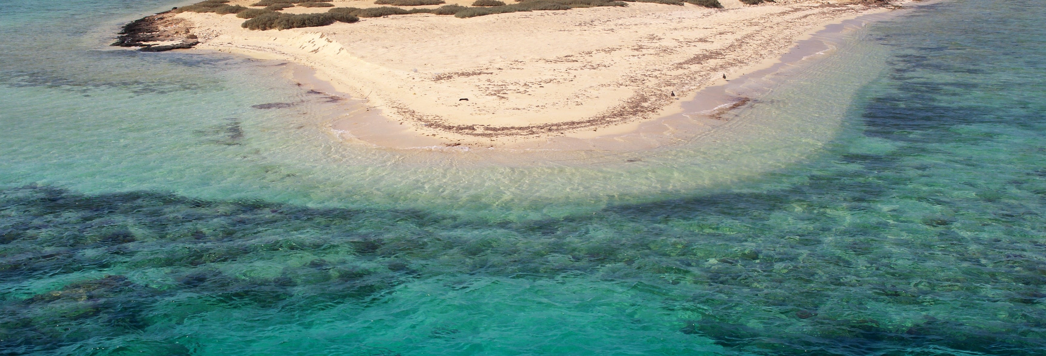 Snorkel in Sharm El Luli + Wadi El Qulaan