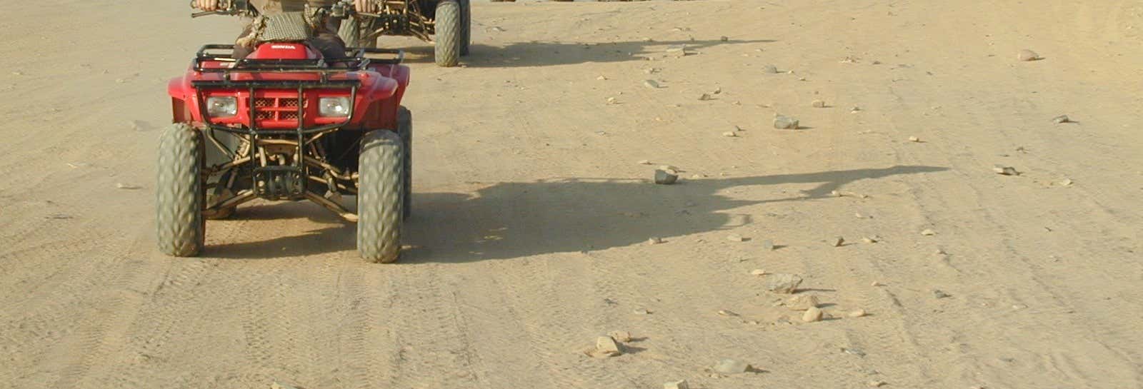 Tour nel deserto in quad + Giro in cammello