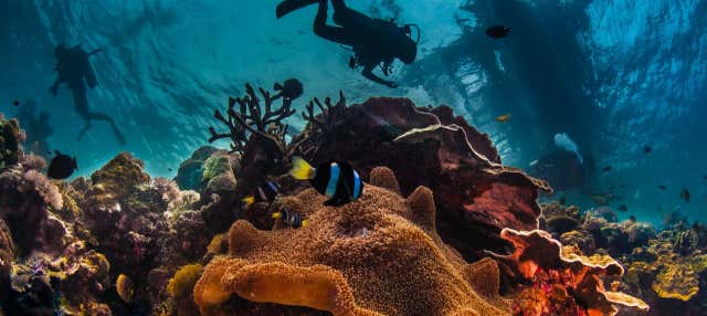 Immersione per principianti nel Mar Rosso