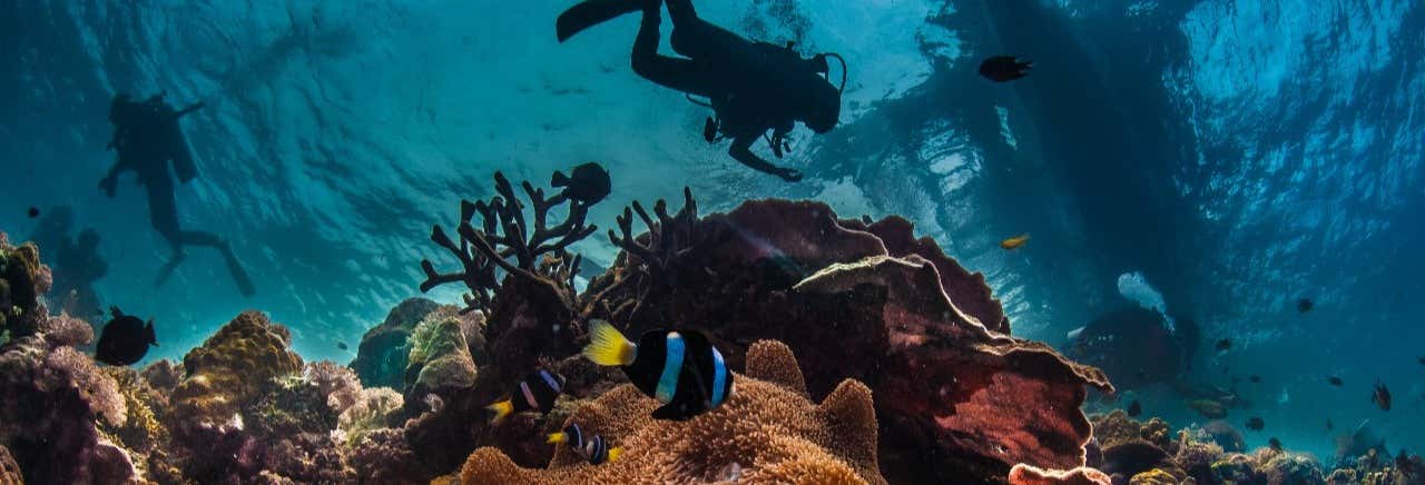 Immersione per principianti nel Mar Rosso