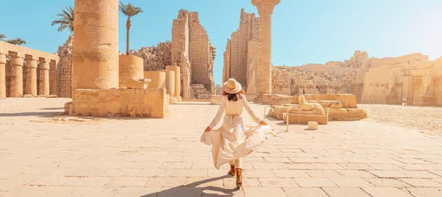 Escursione privata a Luxor in aereo