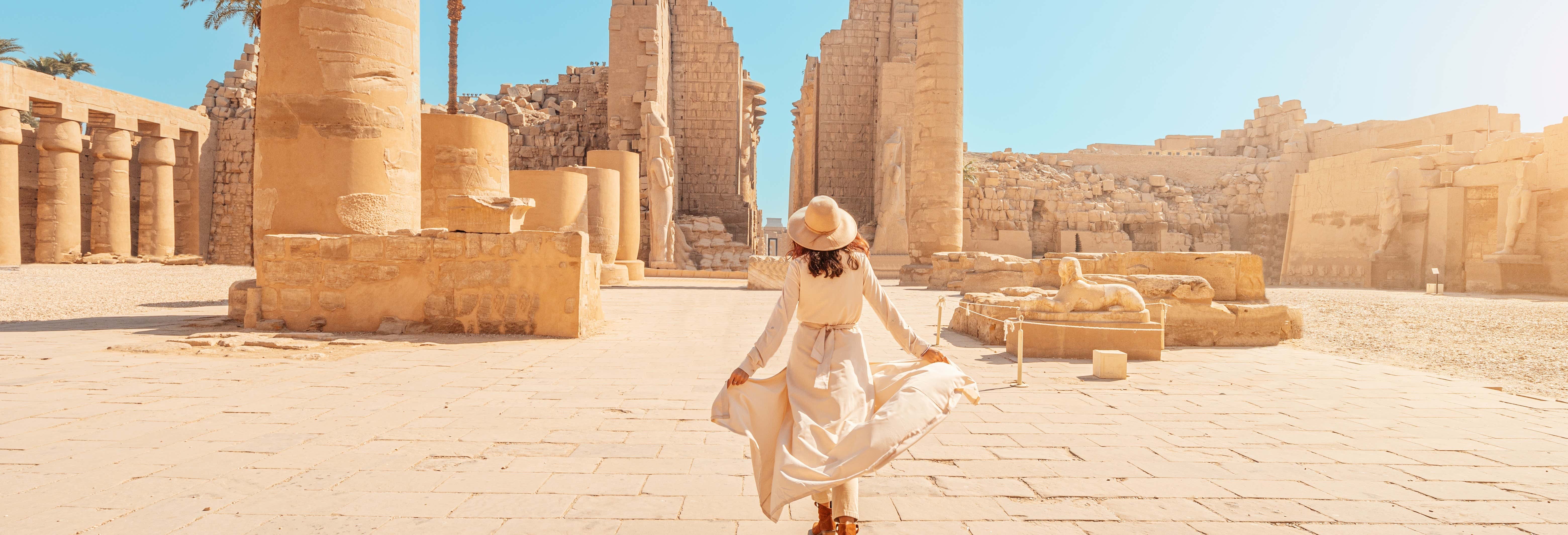Escursione privata a Luxor in aereo
