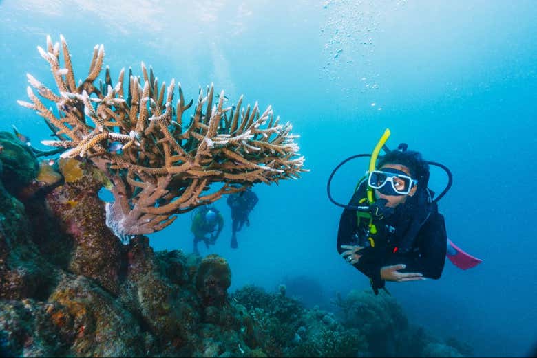 Beginner's Scuba Diving in the Red Sea