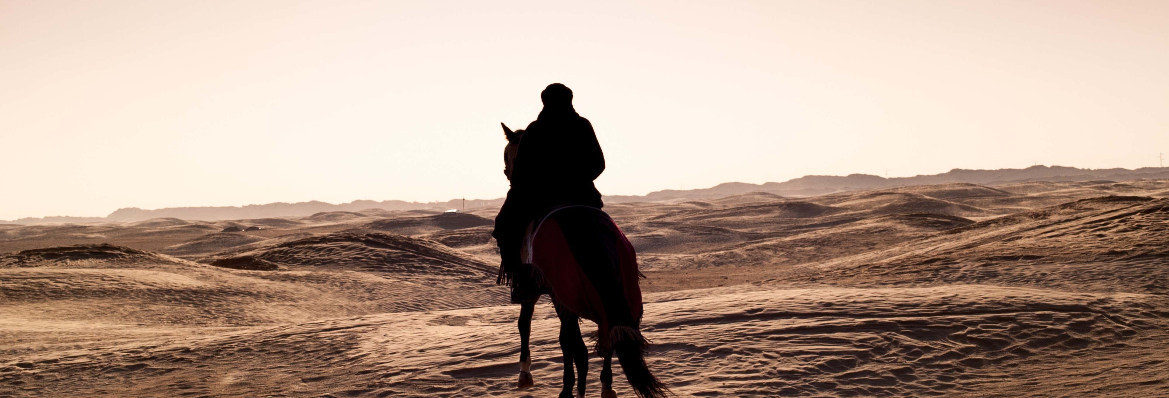 Passeggiata a cavallo a Sharm el-Sheikh