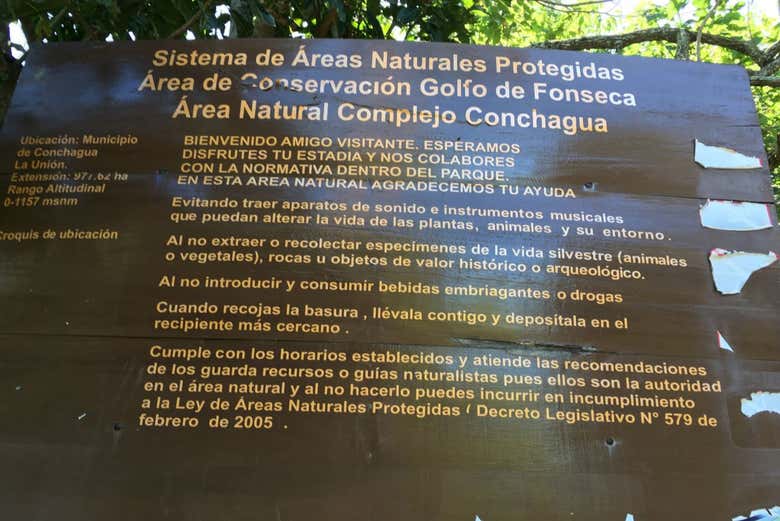 Imagen 6