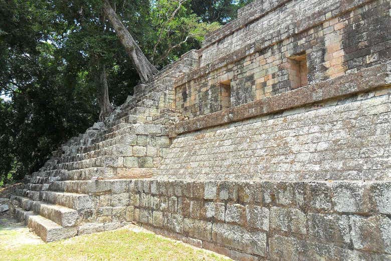 Imagen 3