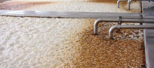 Visita al birrificio Cadejo