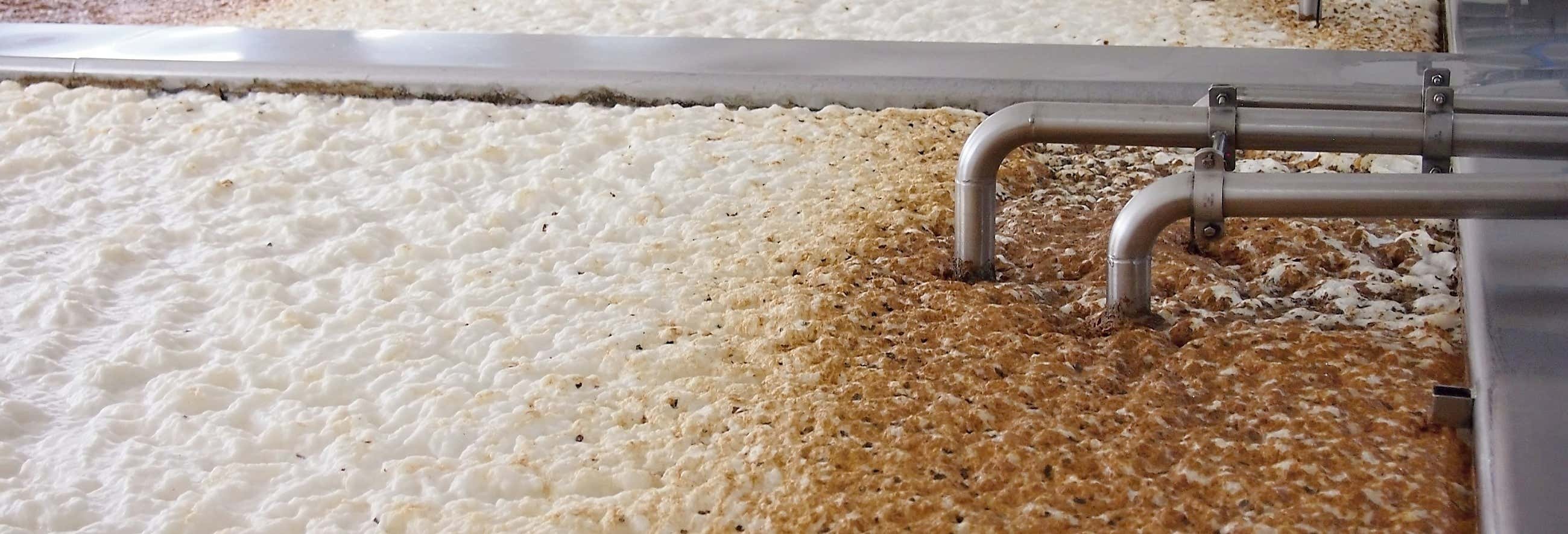 Visita al birrificio Cadejo