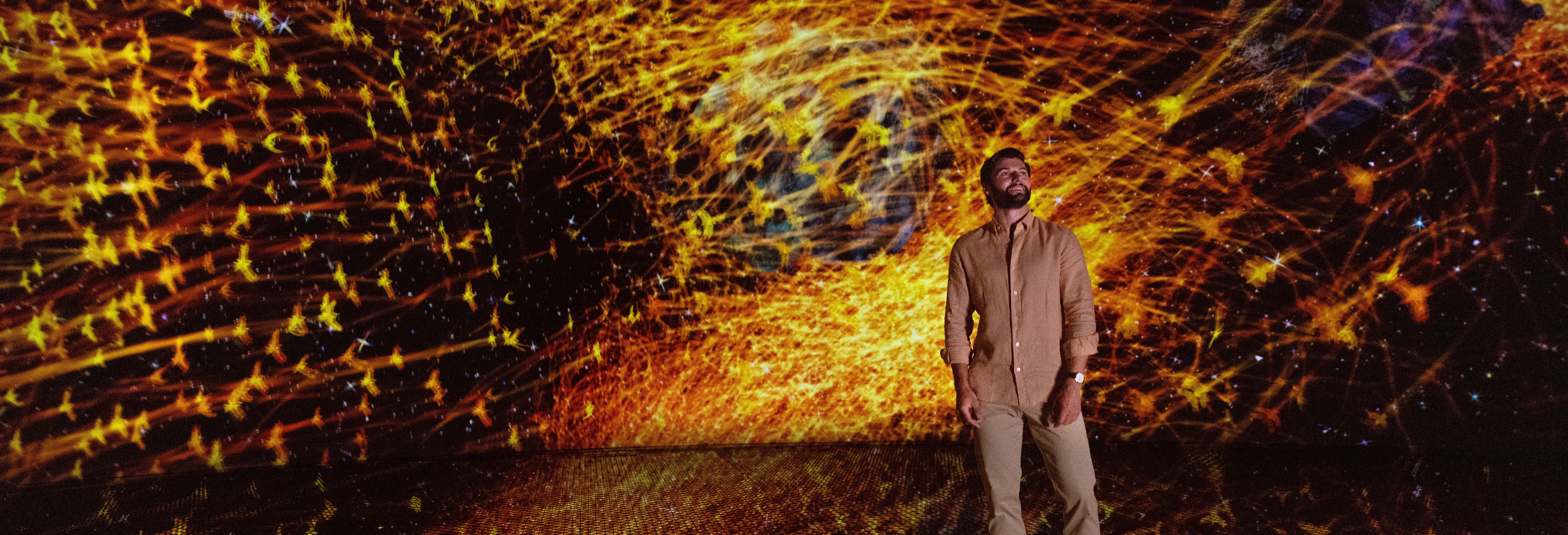 Biglietti per teamLab Phenomena Abu Dhabi