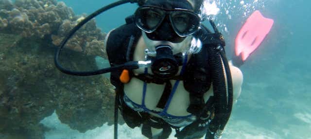 Immersione per principianti a Dibba Al-Fujairah