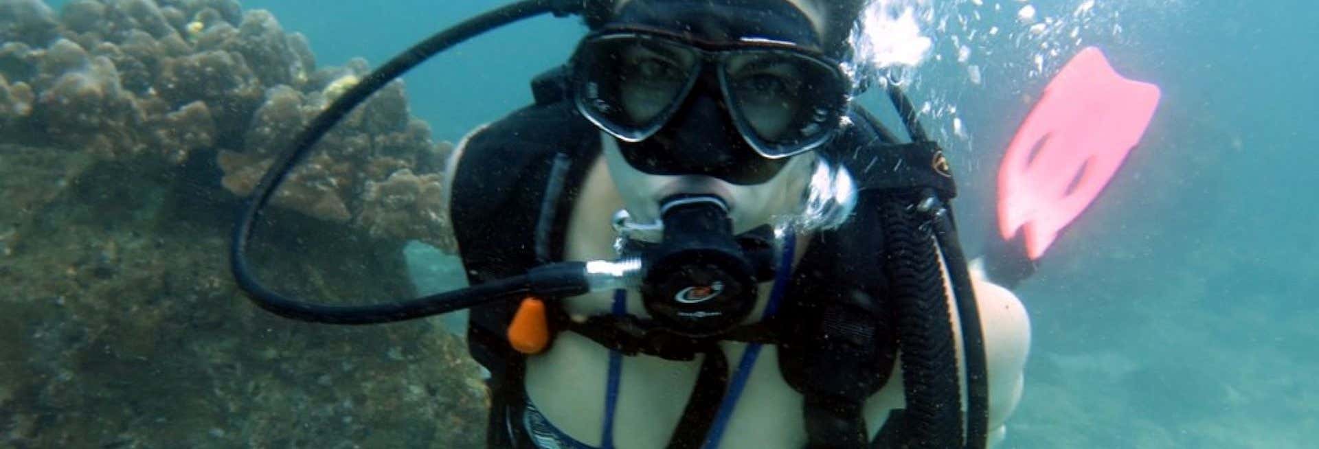 Immersione per principianti a Dibba Al-Fujairah