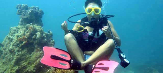 Immersione per principianti a Jumeirah