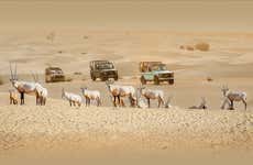 Desert Safari pelo Oásis de Al Marmoom de 4x4 vintage