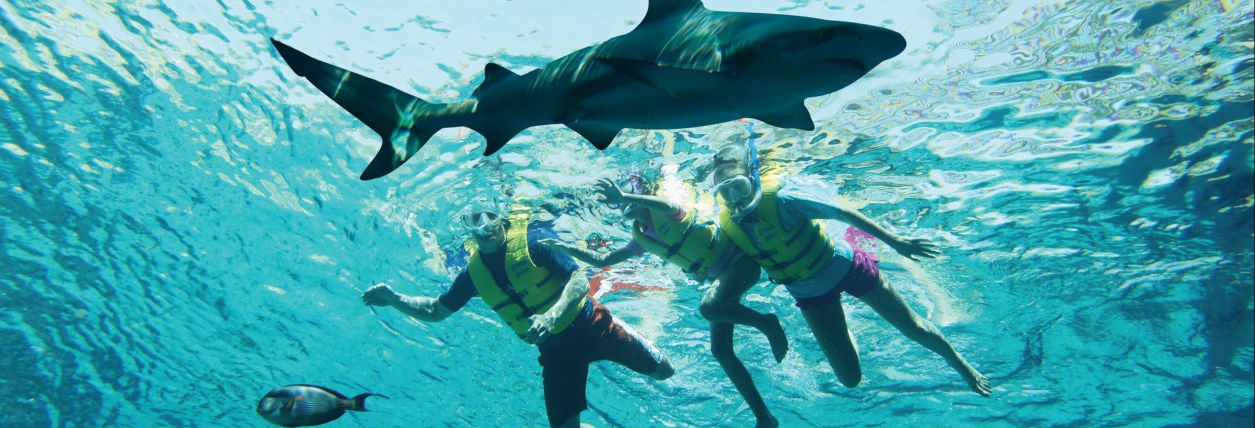 Aquaventure Waterpark Ticket + Snorkeling with Sharks