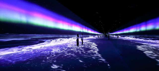 Biglietti per Arte Museum Dubai