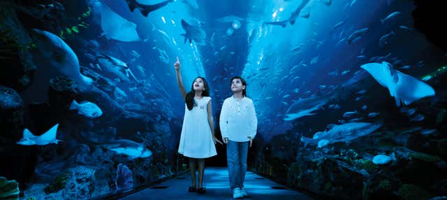 Biglietti per Dubai Aquarium
