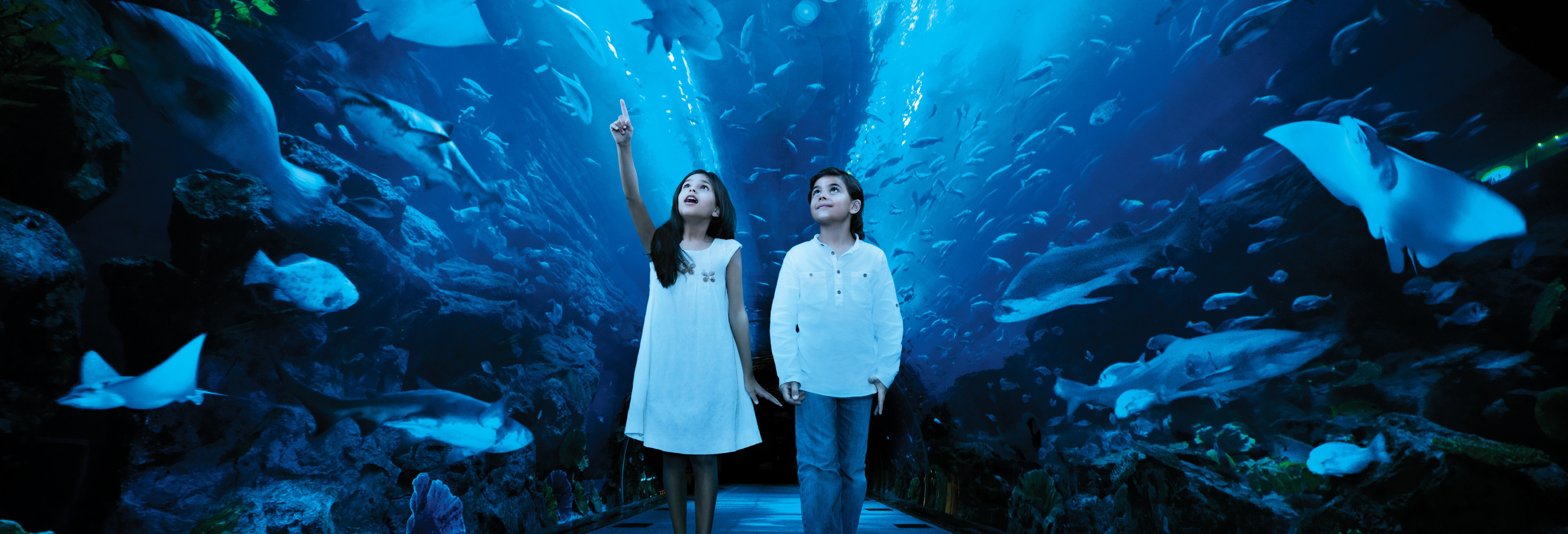 Ingresso do Dubai Aquarium