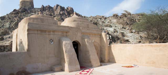 Escursione sulla costa est degli Emirati Arabi