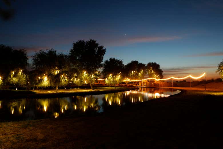 Imagen 4