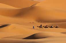 Dubai Desert Camel Ride with Dinner & Show