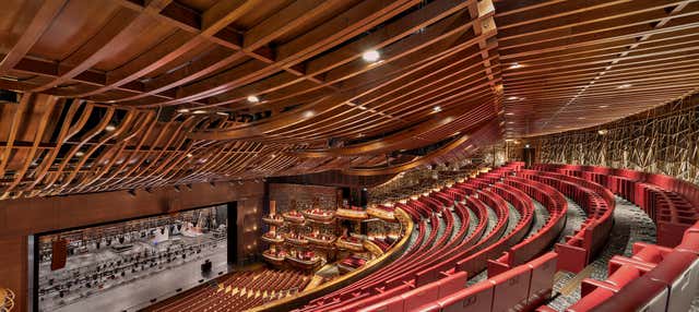 Visita guidata dell'Opera di Dubai