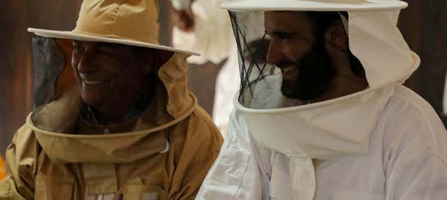 Biglietti per Hatta Honey Bee Discovery Centre