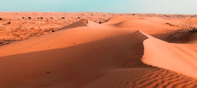 Safari nel deserto con cena e spettacolo