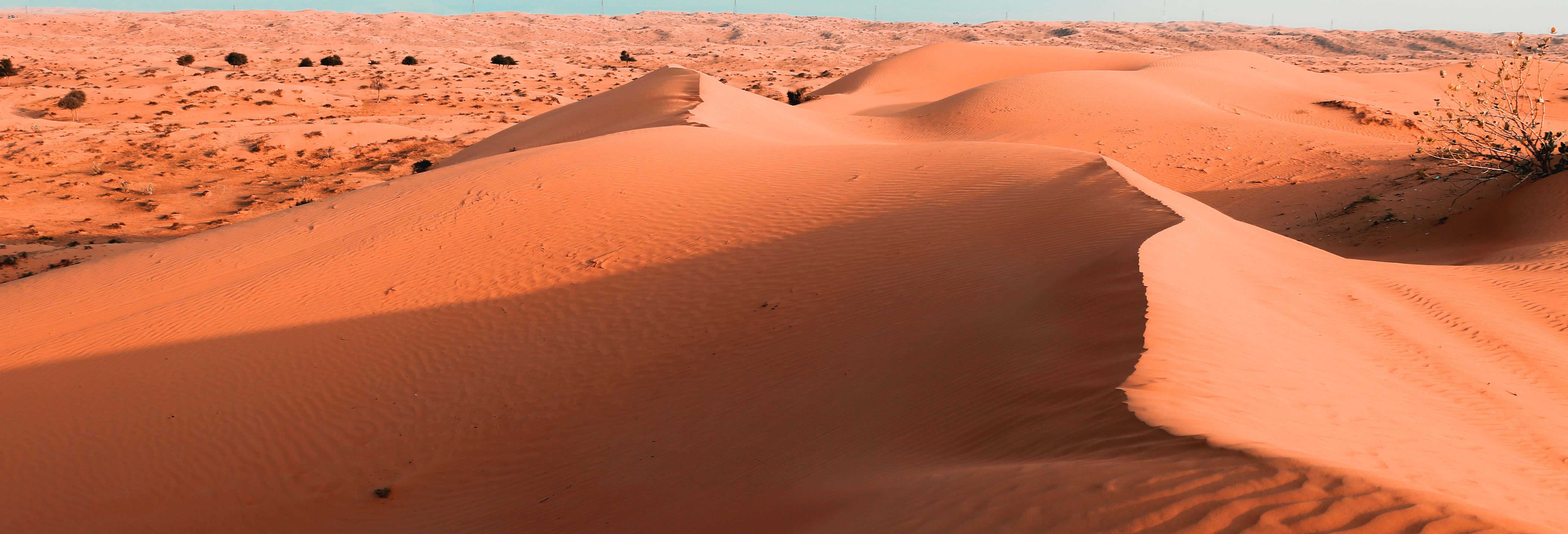 Desert Safari + Dinner + Show