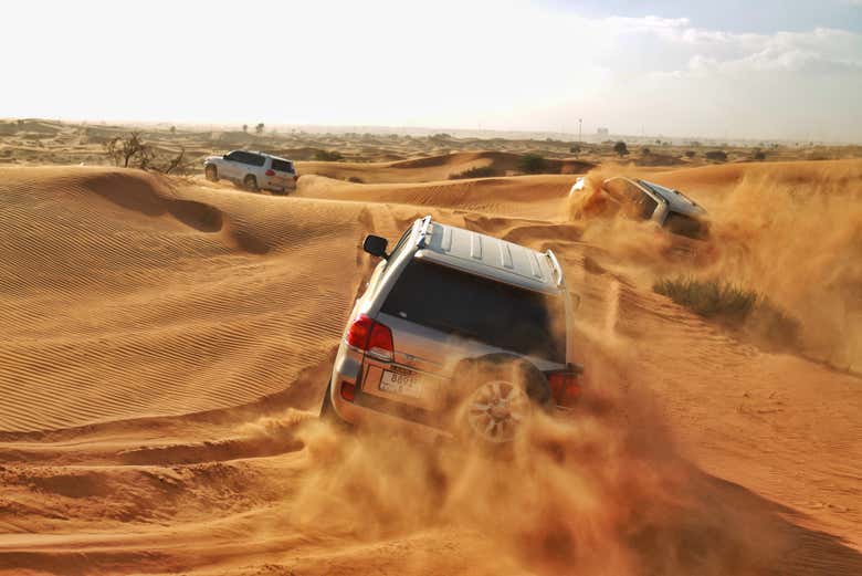 Desert Safari & Camel Farm Visit