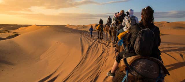 Giro in cammello nel deserto