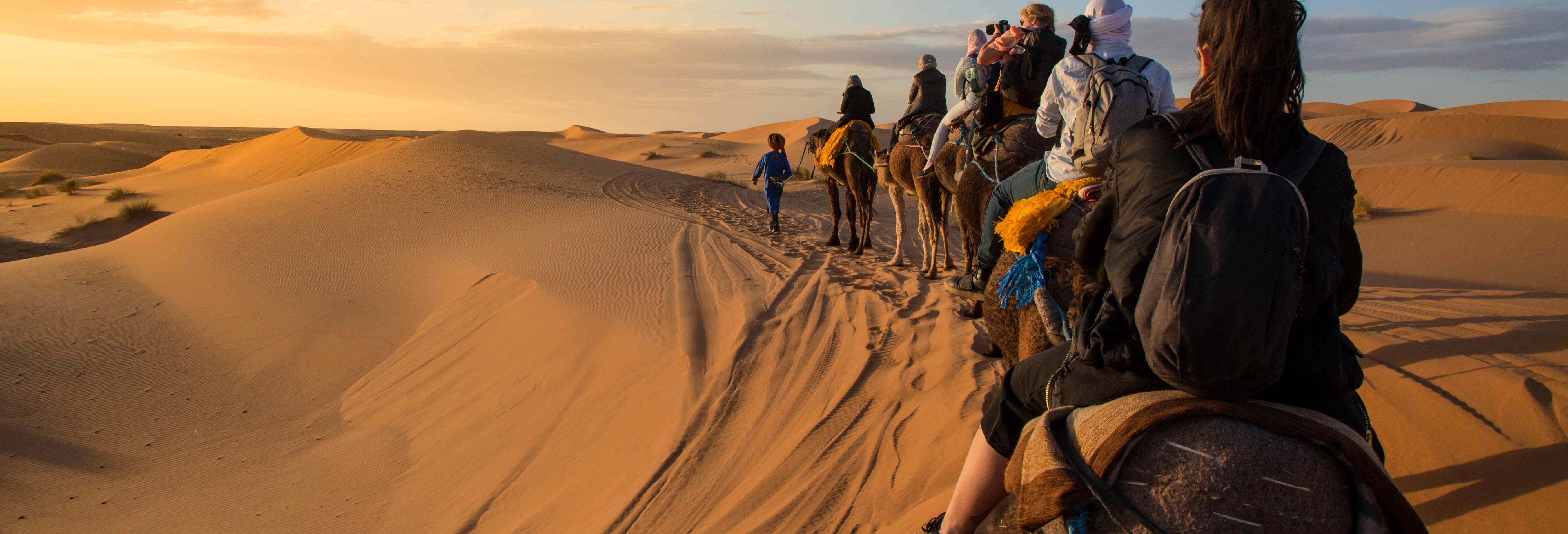 Giro in cammello nel deserto