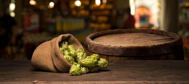 Degustazione di birra artigianale