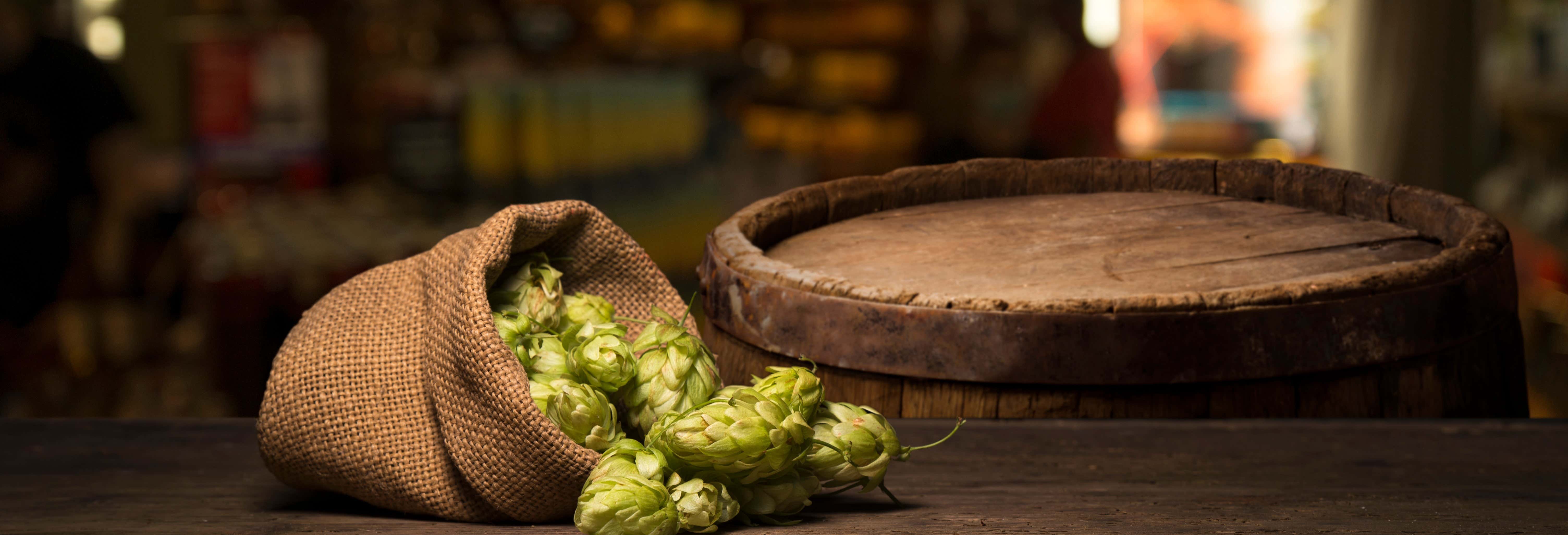 Degustazione di birra artigianale