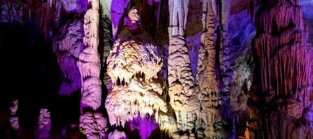 Escursione alle Grotte di Postumia e al Castel Lueghi