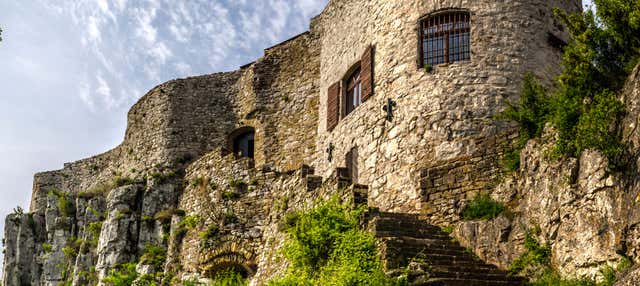 Escursione a Socerb, Cristoglie e Maresego