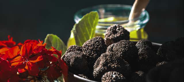 Tour gastronomico dell'Istria