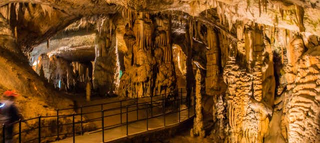 Escursione alle Grotte di Postumia e al Castel Lueghi