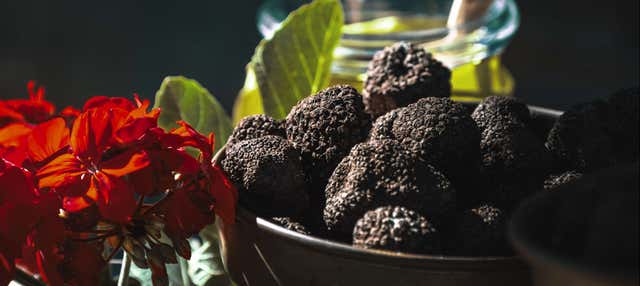 Tour gastronomico dell'Istria