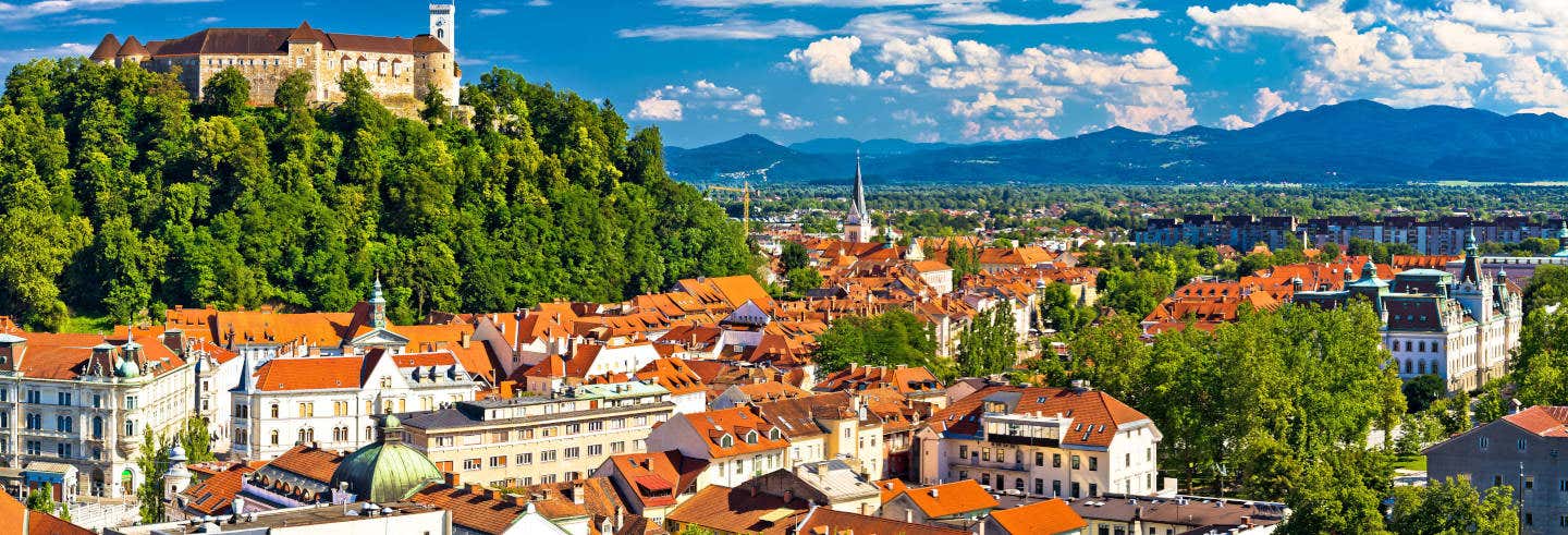 Tour privato di Lubiana