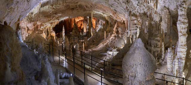 Escursione alle Grotte di Postumia e al Castel Lueghi
