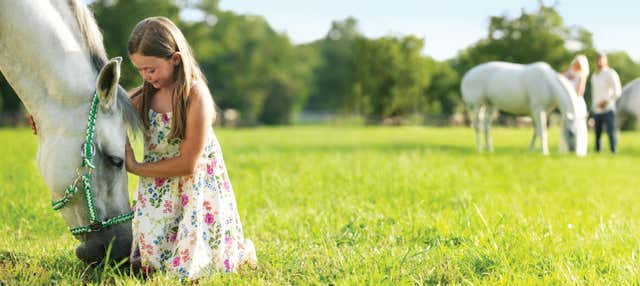 Escursione a Lipizza e alle Grotte di San Canziano