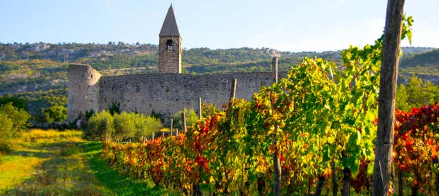 Escursione a Socerb, Cristoglie e Maresego