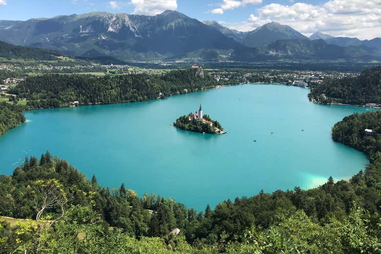 Imagen 8
