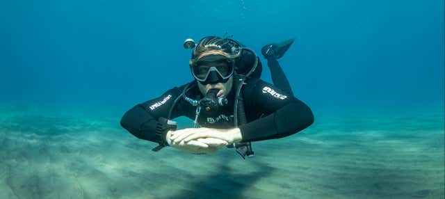 Immersione per principanti ad Abades