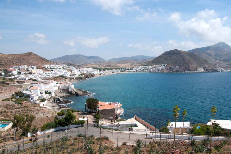 Imagen 5